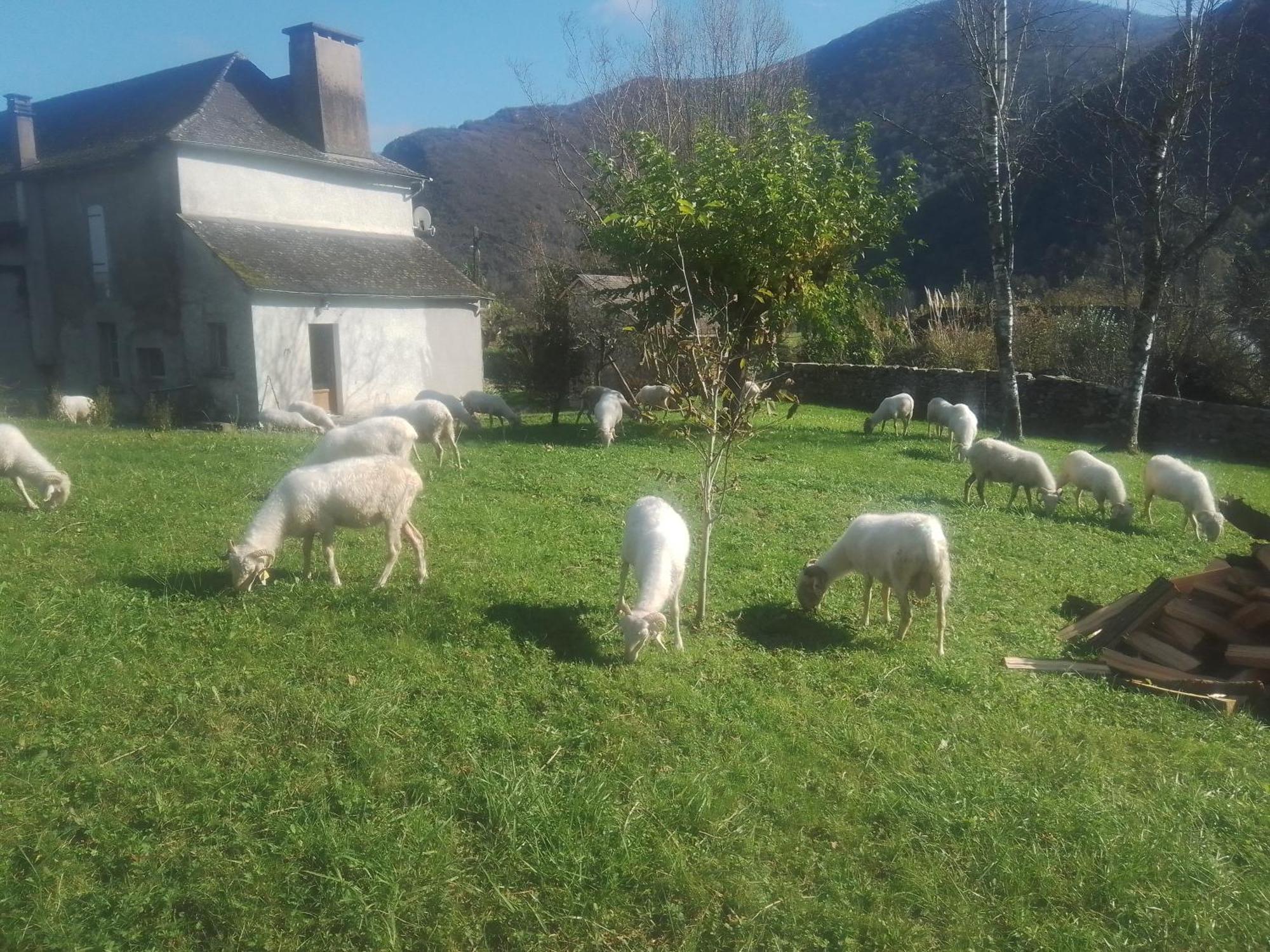 Gite Maison Chourrist Capbis Zewnętrze zdjęcie