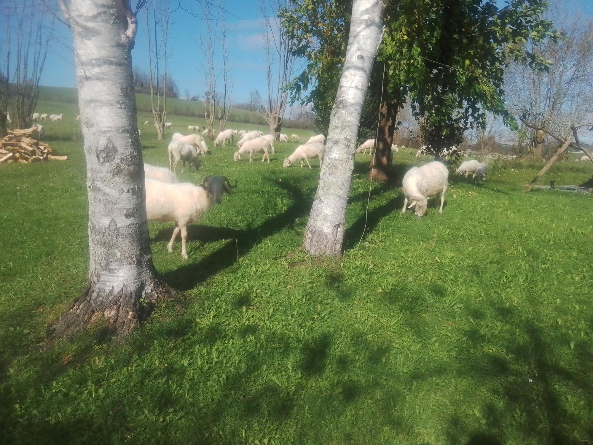 Gite Maison Chourrist Capbis Zewnętrze zdjęcie